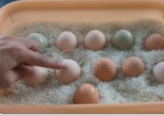 正确保存鸡蛋的小妙招