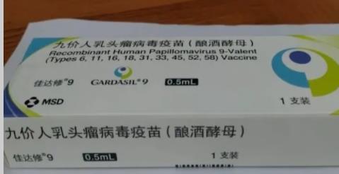 国产九价HPV疫苗何时可上市？
