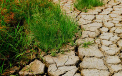 干旱年有什么讲究，2023年四川千旱严重吗