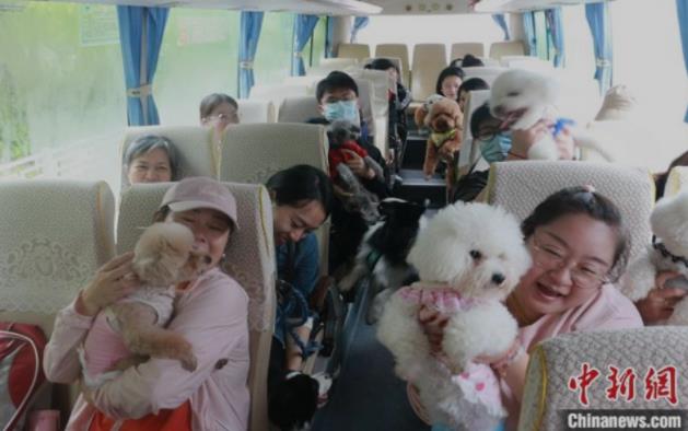 中国“它经济”持续升温 宠物旅行团兴起